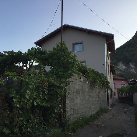 גוצה דלצ'ב Elenite Guesthouse מראה חיצוני תמונה