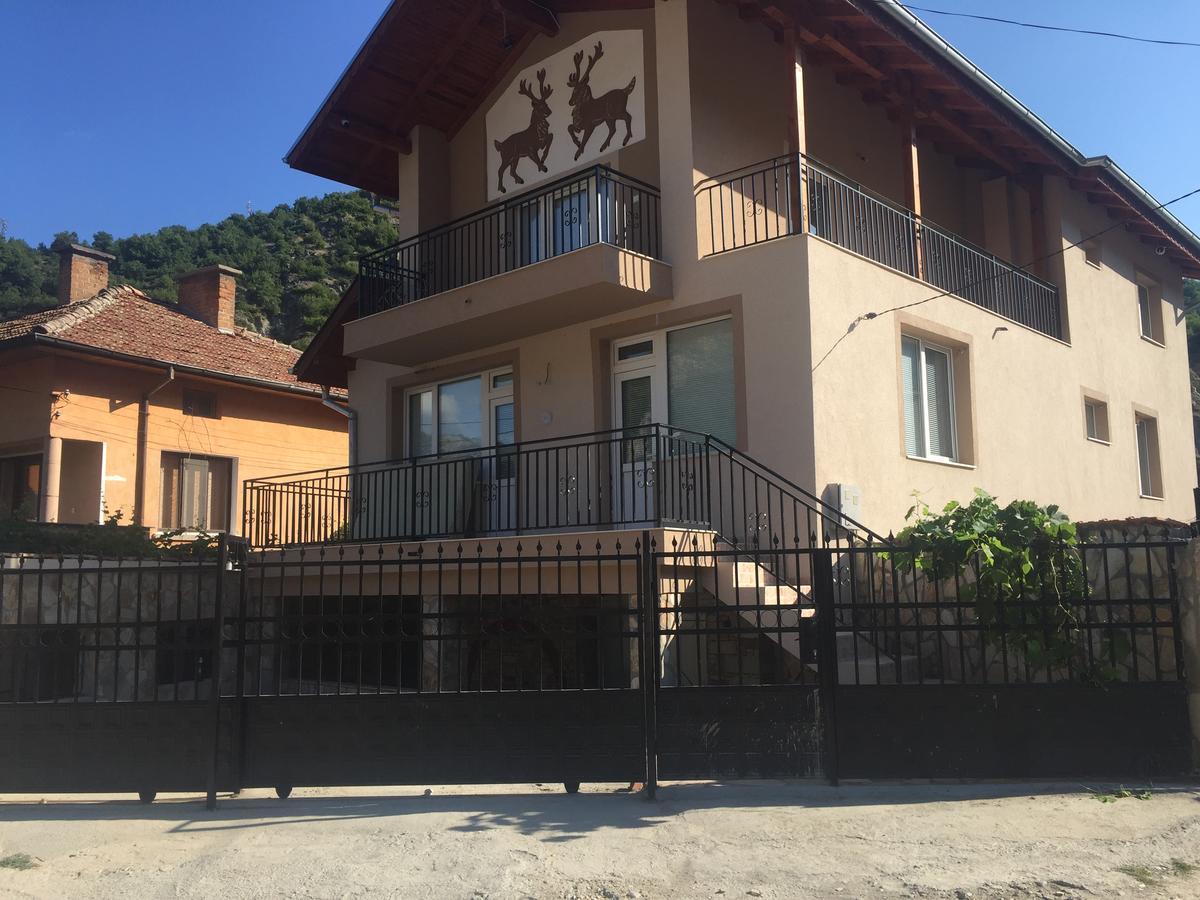 גוצה דלצ'ב Elenite Guesthouse מראה חיצוני תמונה