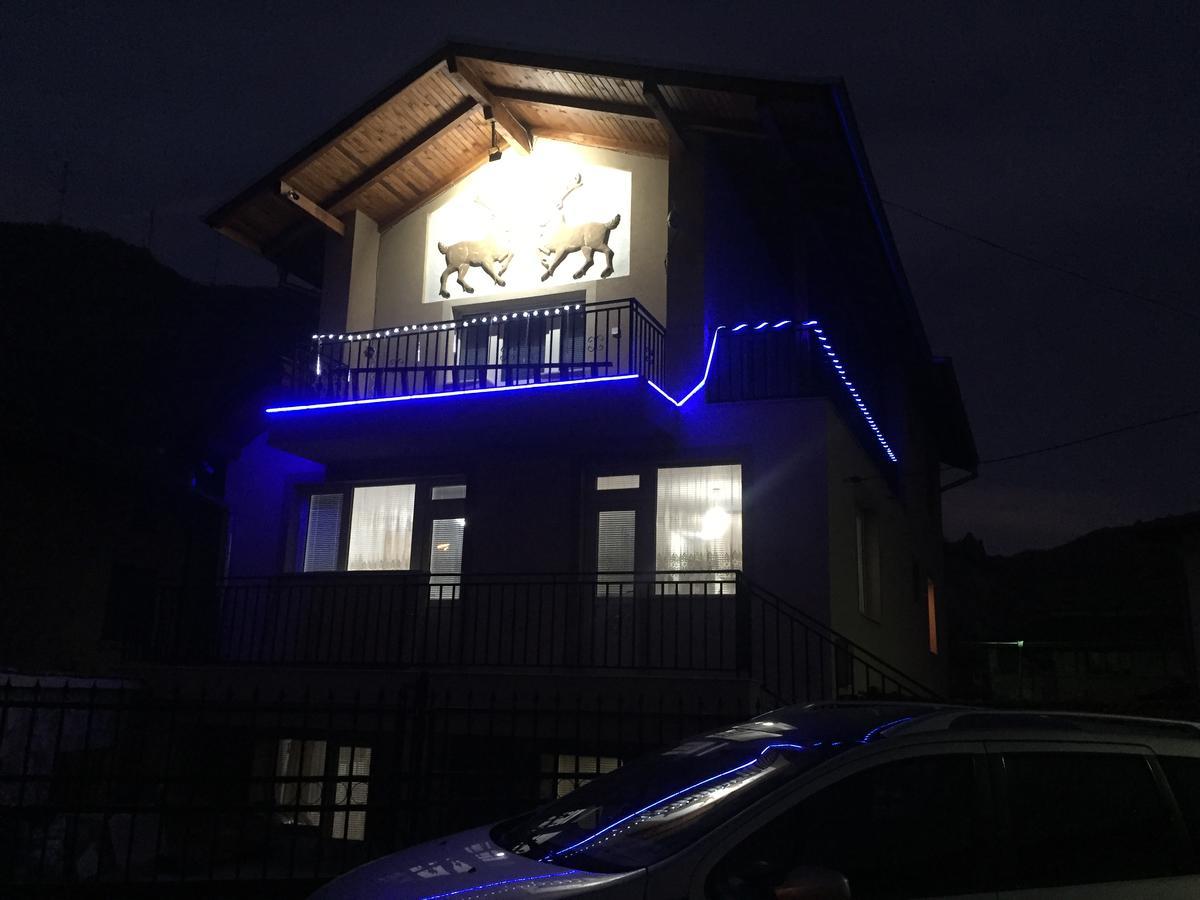 גוצה דלצ'ב Elenite Guesthouse מראה חיצוני תמונה